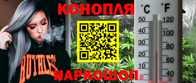 ALPHA PVP Будённовск