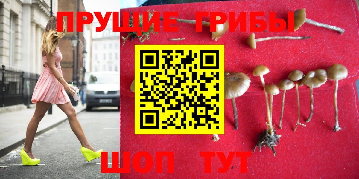 Галлюциногенные грибы MAGIC MUSHROOMS Рославль