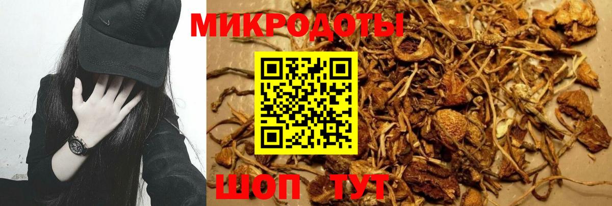 Рославль  Галлюциногенные грибы GOLDEN TEACHER  Вход с VPN 
